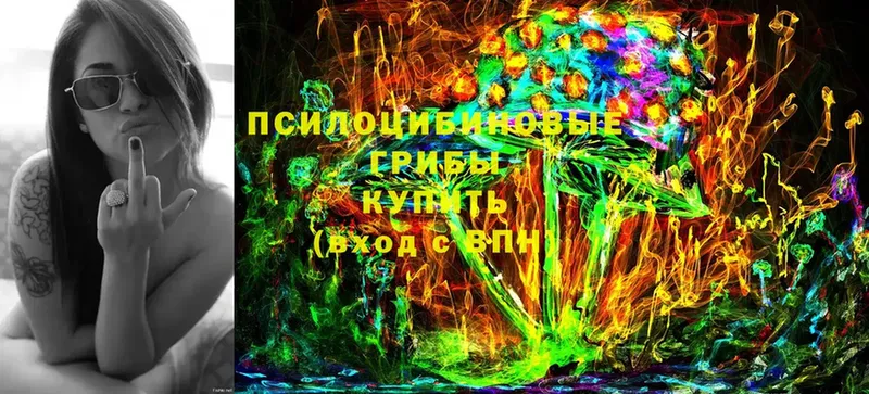 закладки  Карасук  Галлюциногенные грибы MAGIC MUSHROOMS 